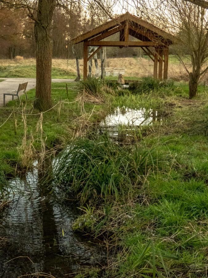 Le Domaine Des Droles De Dames ξενώνας Buding Εξωτερικό φωτογραφία